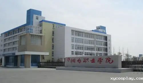 烟台职业技术学院引进必威首页体育科技酸价过氧化值检测仪