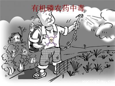 什么是有机磷农药残留？必威体育网官方提醒您规避风险