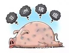 韩国已经确认出现非洲猪瘟的疫情