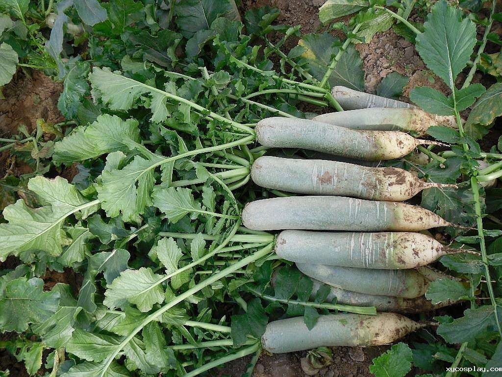 必威体育网官方 必威体育网官方