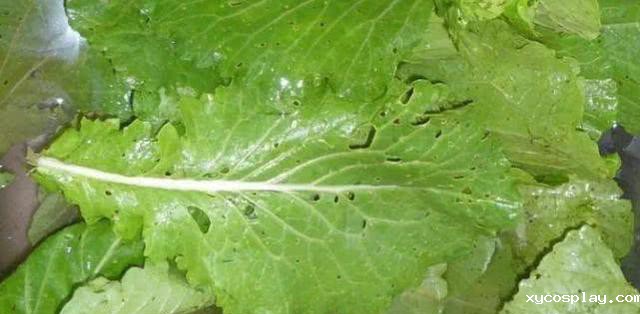 必威体育网官方 必威体育网官方