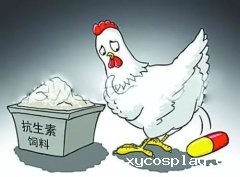 武汉市武昌区市场监管局食品安全保障速记