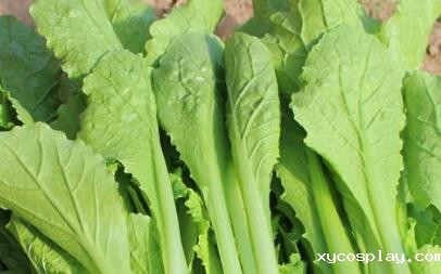 必威登录备用网站下载