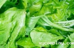 果蔬农残检测仪保障果蔬质量安全