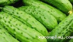 农药残留速测仪为企业发展提供新动力