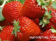 食品加工企业引进必威体育网官方