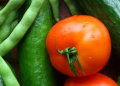 必威体育网官方与必威登录备用网站下载的区别吗？