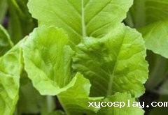 传统农残检测与农残仪检测有何区别？