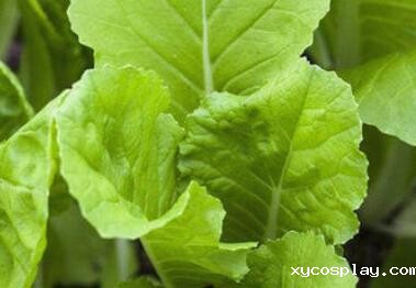 必威登录备用网站下载 必威登录备用网站下载