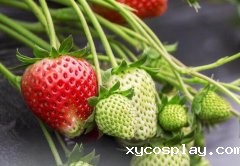 农药残留含量多少才算农药残留超标？