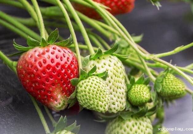 必威登录备用网站下载 必威登录备用网站下载