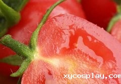 果蔬农残速测仪为果蔬安全添保证
